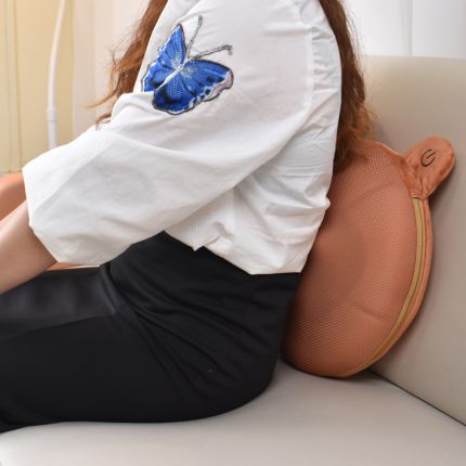 FC BEAR MASSAGE AND HUG PILLOW