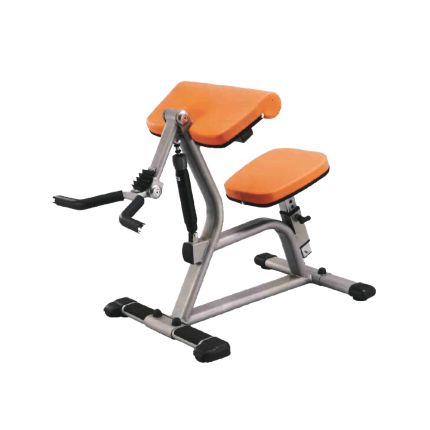 BODY SOLID STEELFLEX- BICEPS CURL MACHINE