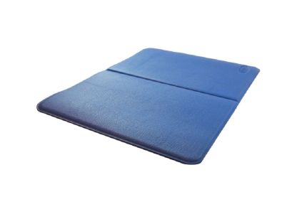 FC PLANK MASTER (BLUE)