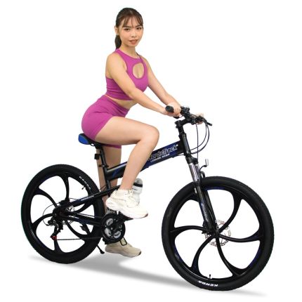 NORDICTRACK FOLDING BIKE 26