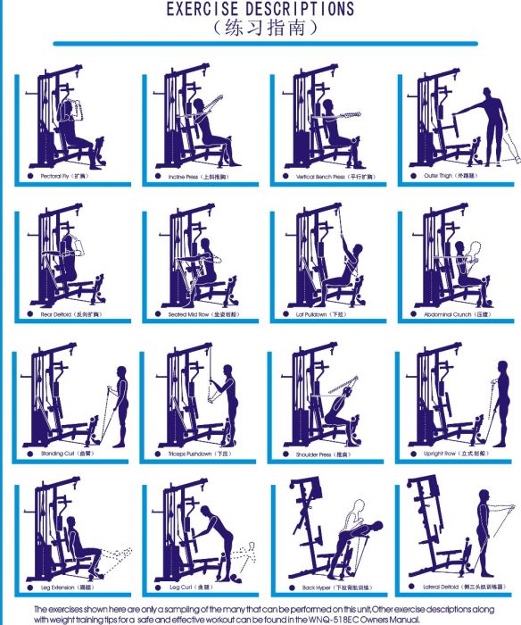 Multi gym workout plan pdf 2025