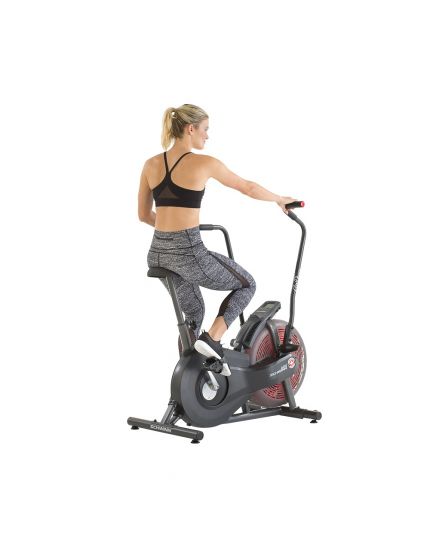 SCHWINN AIRDYNE AD2i - [ DISPLAY UNIT ]